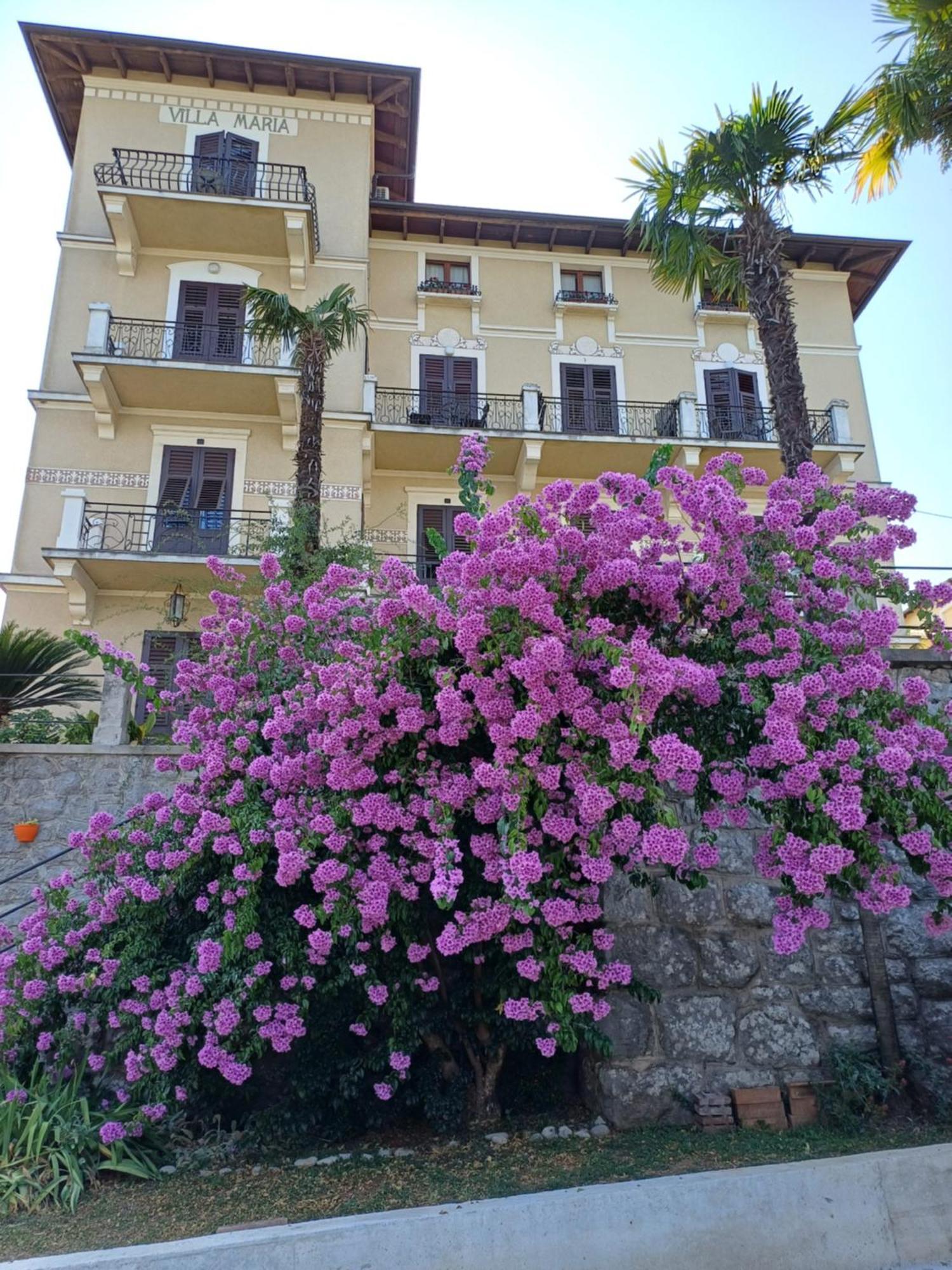 Villa Marija لوفغان المظهر الخارجي الصورة